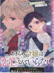 猫町日记 治愈系动漫作品封面